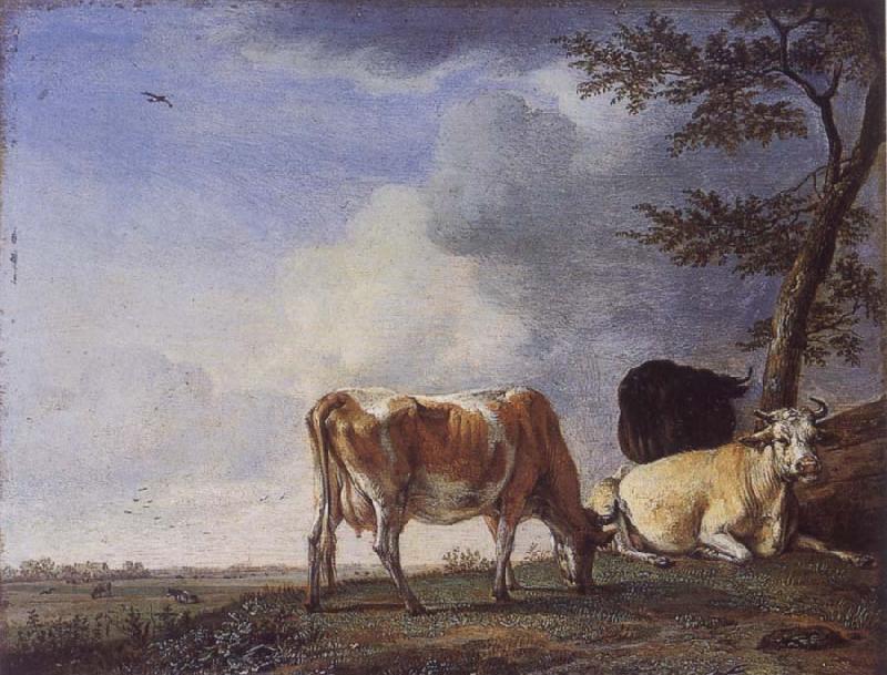 POTTER, Paulus Three Cows in a Pasture China oil painting art